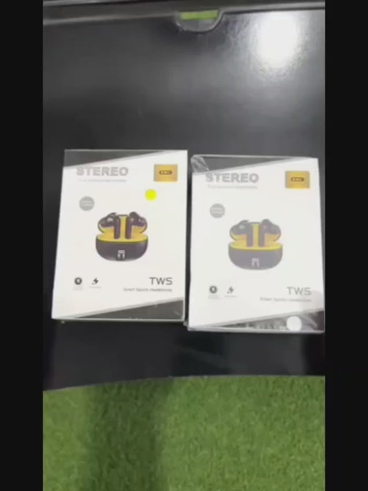 TWS Wireless Earbuds